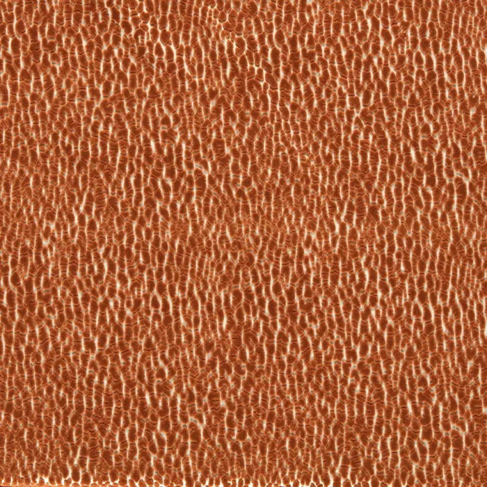 Lacuna Fabric -  Tiger swatch