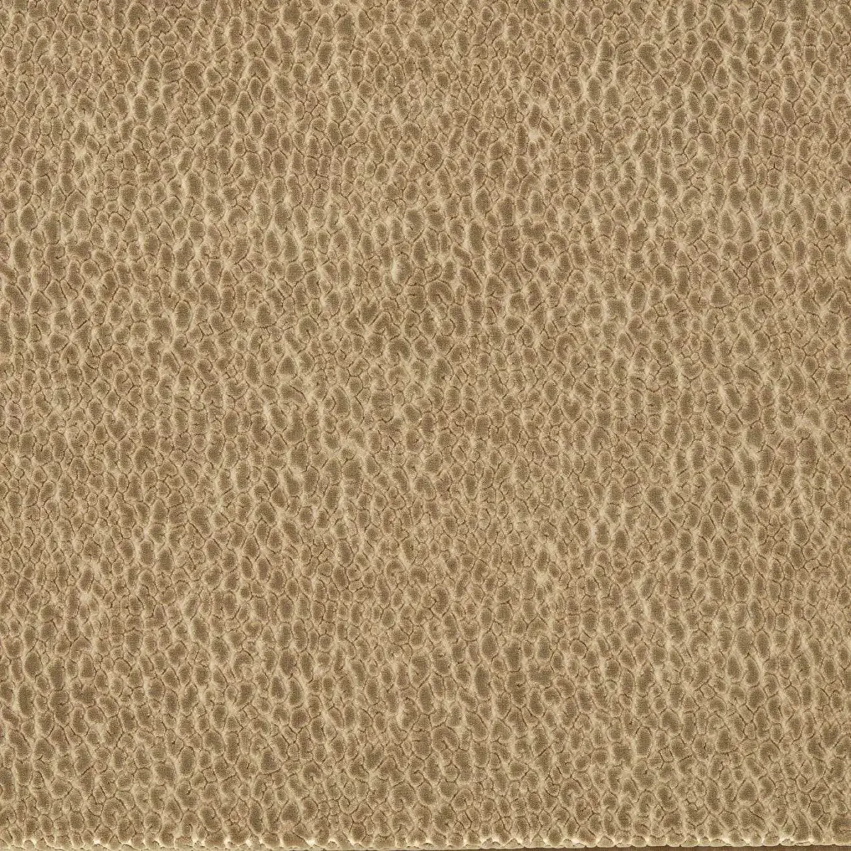 Lacuna Fabric - Taupe by brown animal velvet-chenille fabric from Harlequin