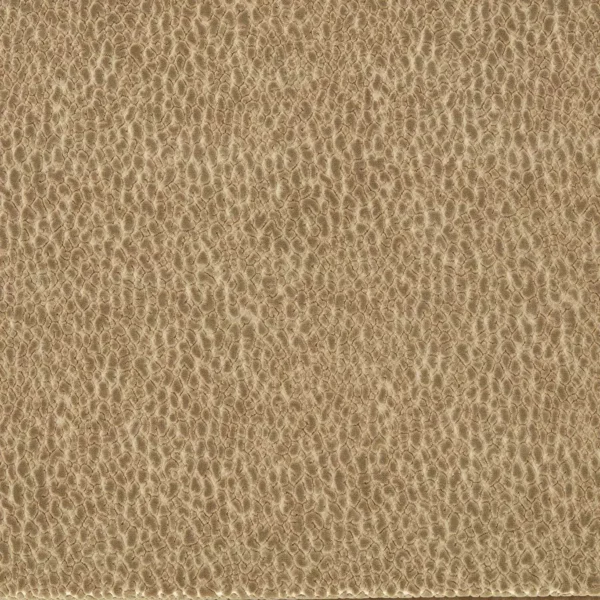 Lacuna Fabric - Taupe by brown animal velvet-chenille fabric from Harlequin