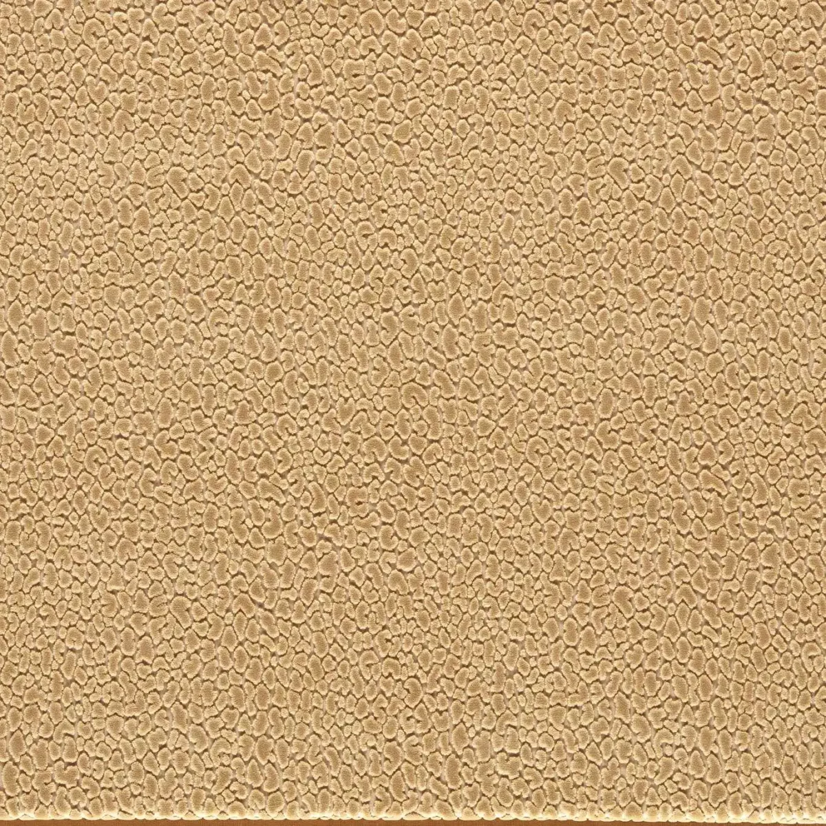 Lacuna Fabric - Sand by yellow animal velvet-chenille fabric from Harlequin