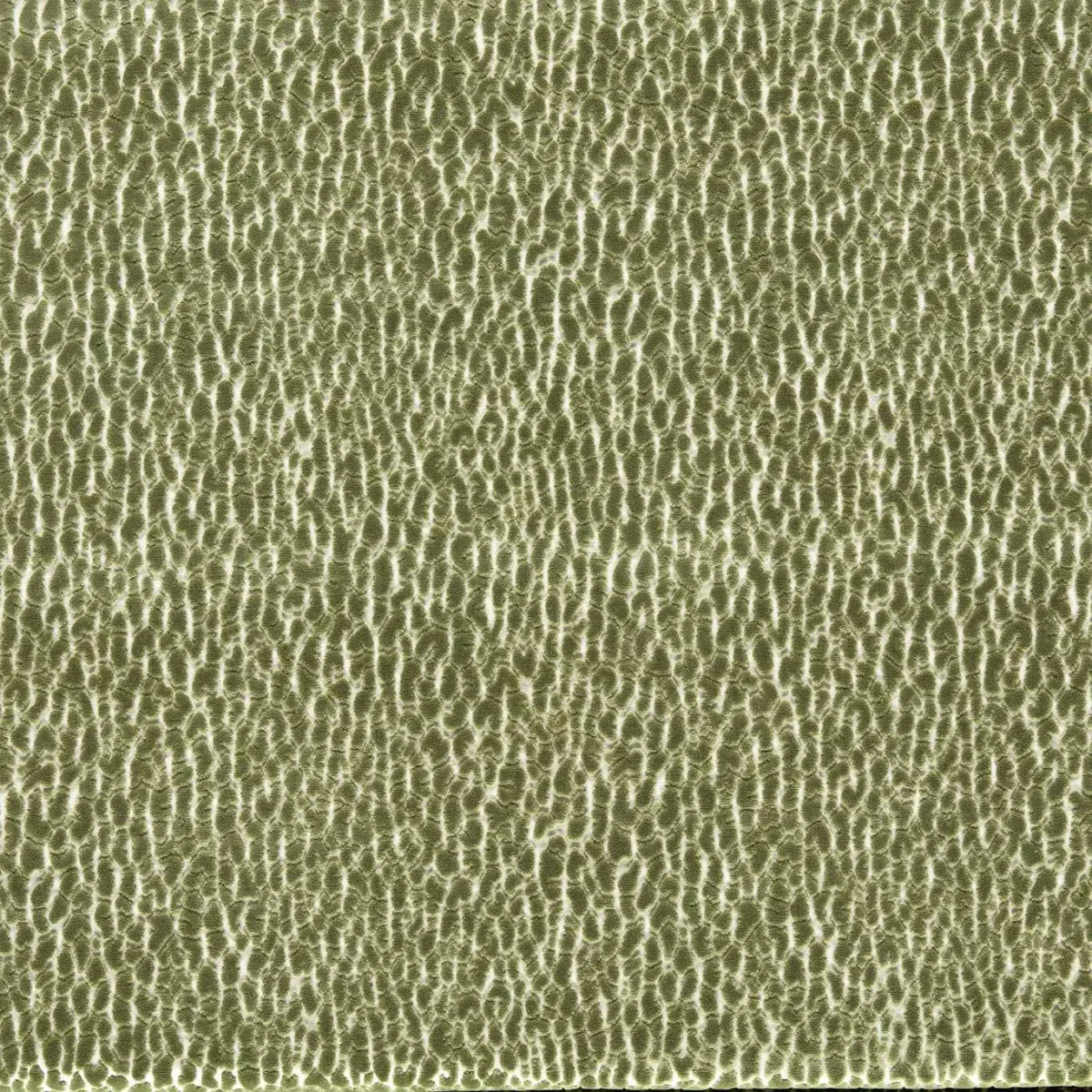 Lacuna Fabric - Kelly by green animal velvet-chenille fabric from Harlequin