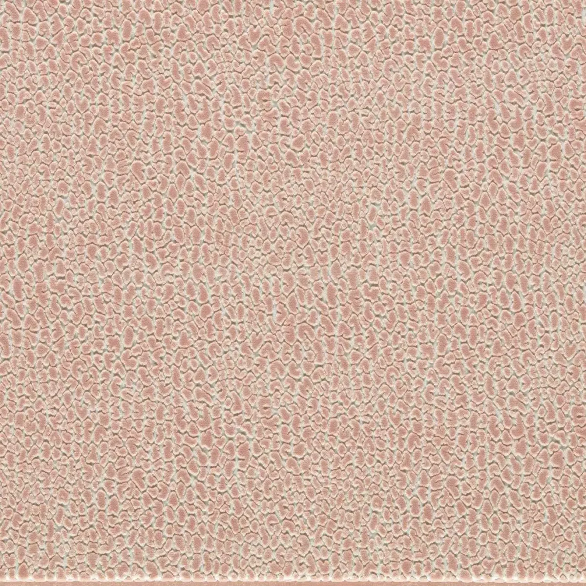 Lacuna Fabric - Blush by pink animal velvet-chenille fabric from Harlequin