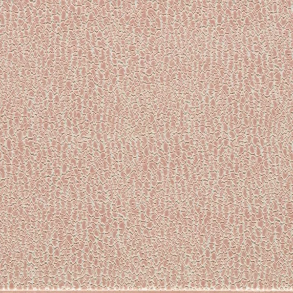 Lacuna Fabric - Blush by pink animal velvet-chenille fabric from Harlequin