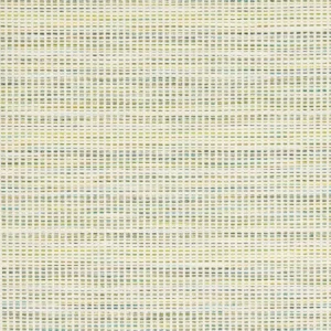 green striped woven fabric from Harlequin