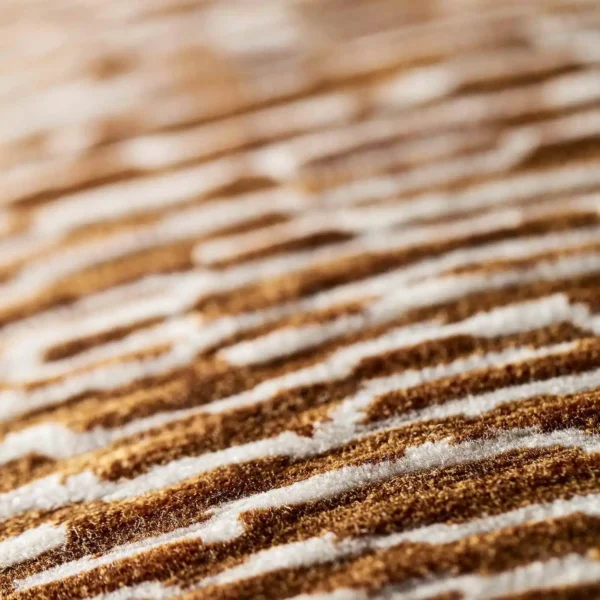 Niello Fabric - Cayenne by Niello Fabric - Cayenne from