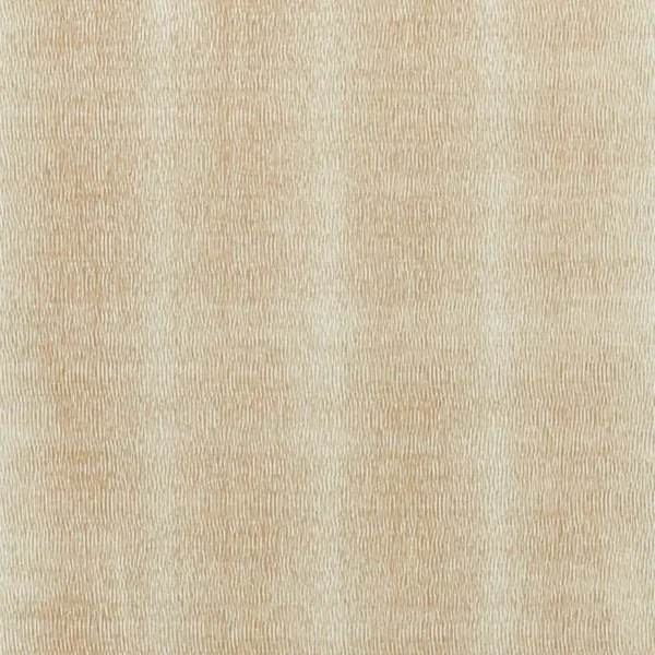 Niello Fabric - Pumice by brown striped velvet-chenille fabric from Harlequin