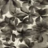 black-grey botanical wallpaper from harlequin