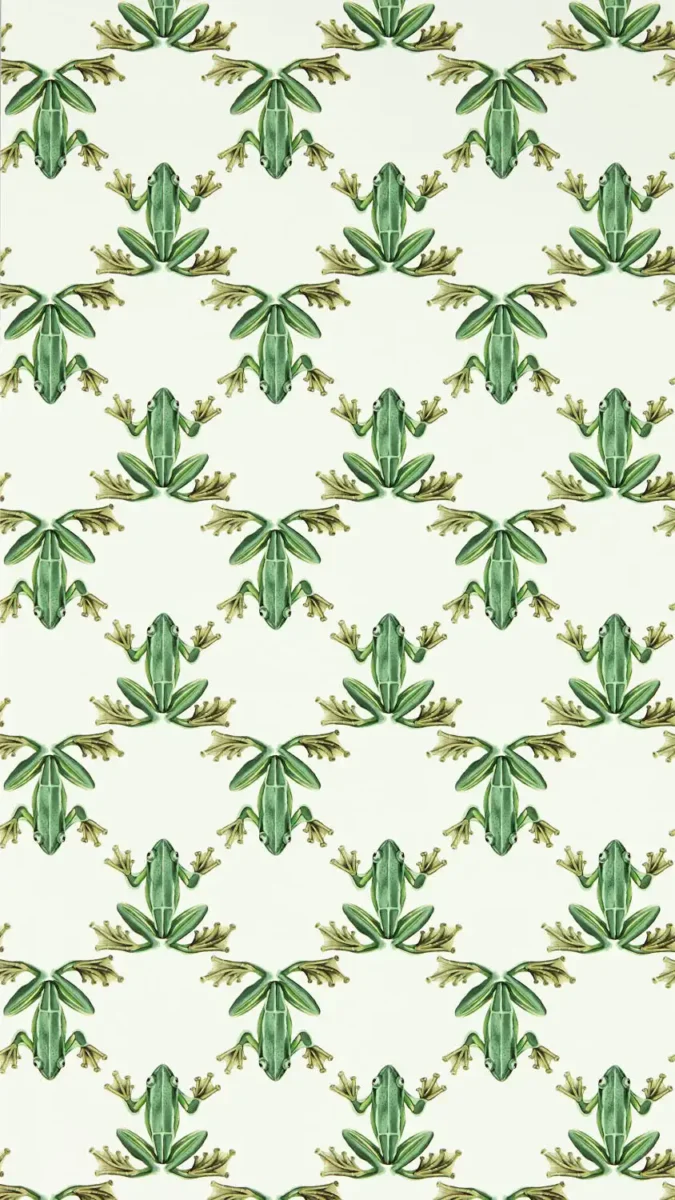 Wood Frog Wallpaper - Forest / Chalk by green animal wallpaper from harlequin