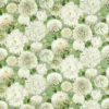 green botanical cotton fabric from Harlequin