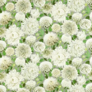 green botanical cotton fabric from Harlequin