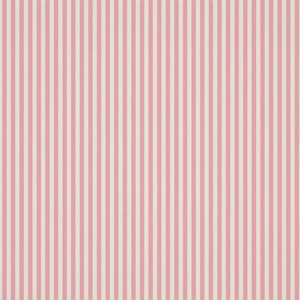 Carnival Stripe Fabric - Blossom by pink children's cotton fabric from Harlequin