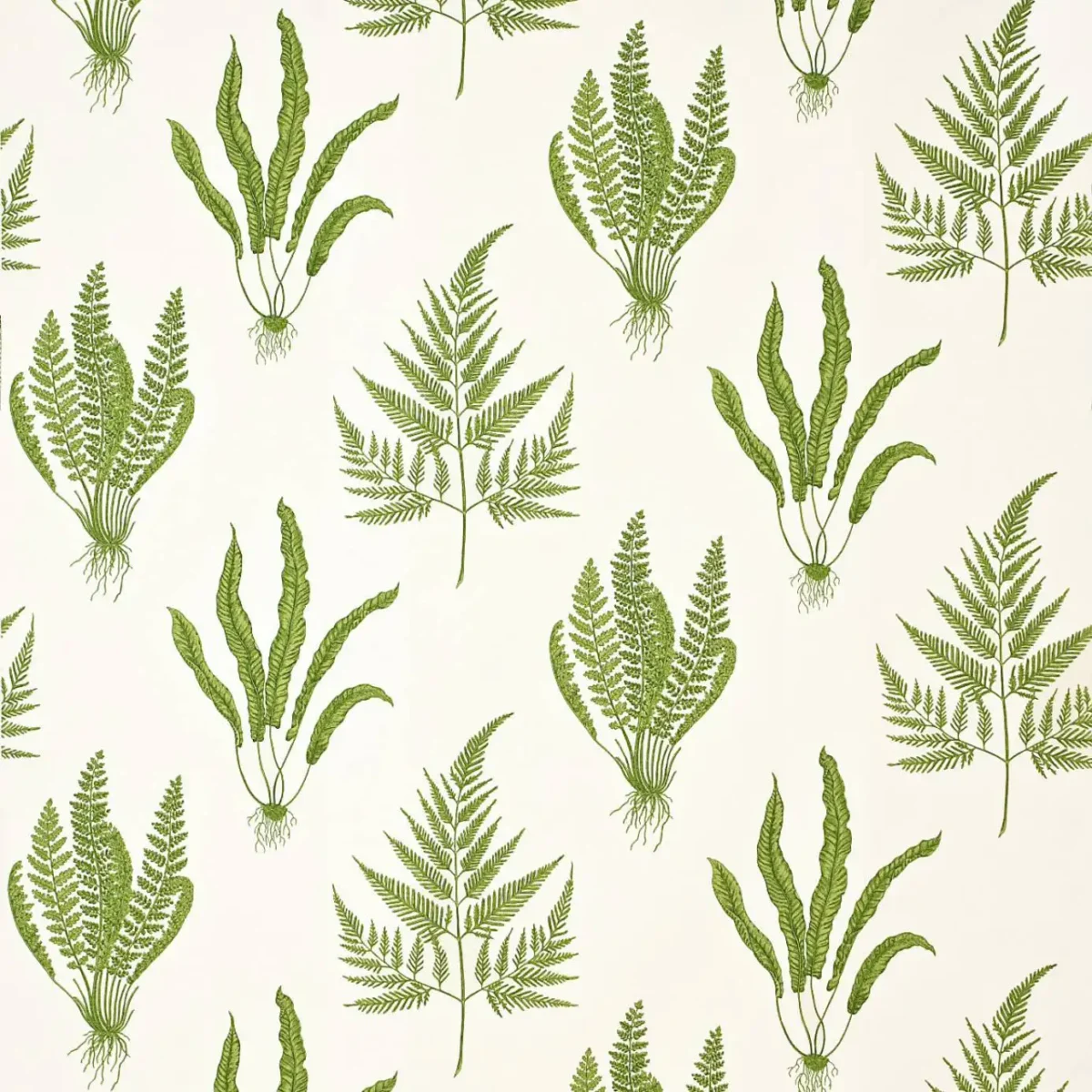 Woodland Ferns Fabric - Green by green botanical printed fabric from Sanderson