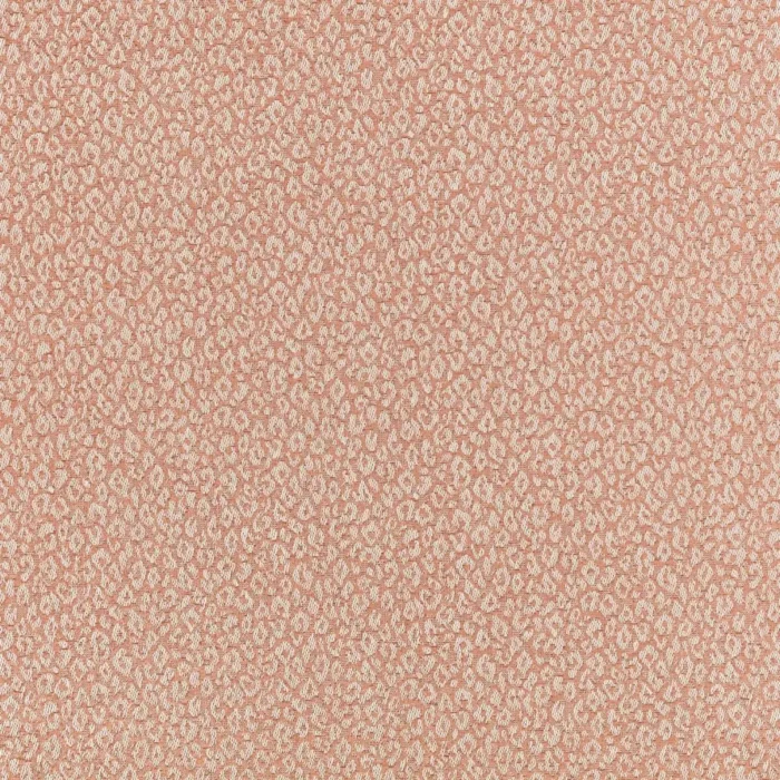 Kitty Fabric - Powder Room swatch