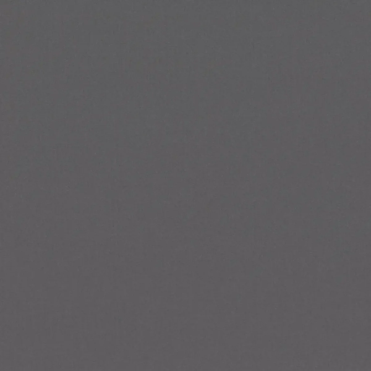 Forenza Fabric - Thunder by black-grey plain velvet-chenille fabric from Romo