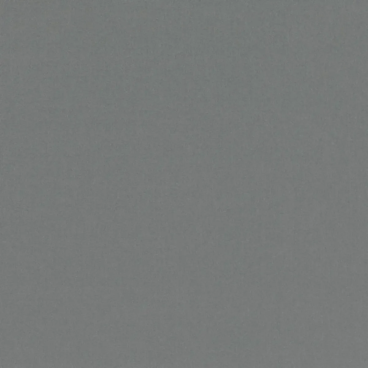 Forenza Fabric - French Grey by black-grey plain velvet-chenille fabric from Romo