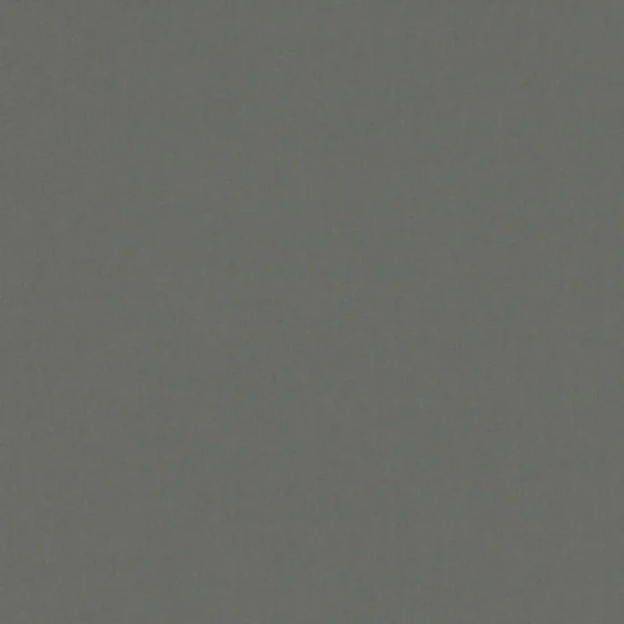 Forenza Fabric - Granite swatch