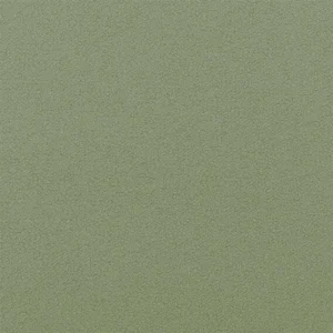 green plain woven fabric from Designers Guild