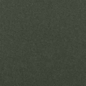 green plain woven fabric from Designers Guild
