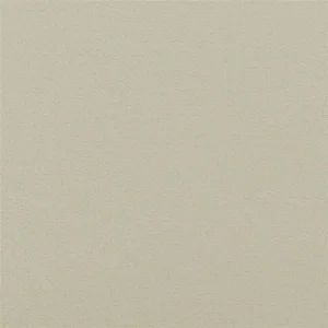 neutral plain woven fabric from Designers Guild