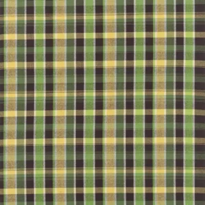 green checked cotton fabric from Designers Guild