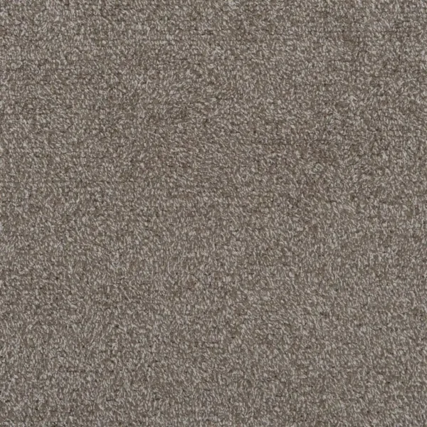 brown plain velvet-chenille fabric from Designers Guild