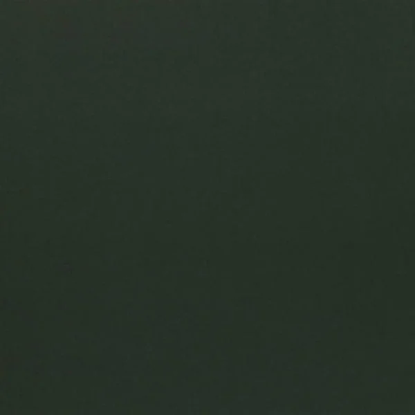Loden Fabric - Fir by green plain woolen fabric from Designers Guild