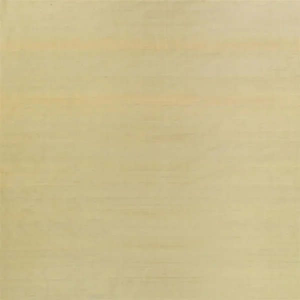 Chinon Fabric - Silver Birch by brown plain silk-satin fabric from Designers Guild