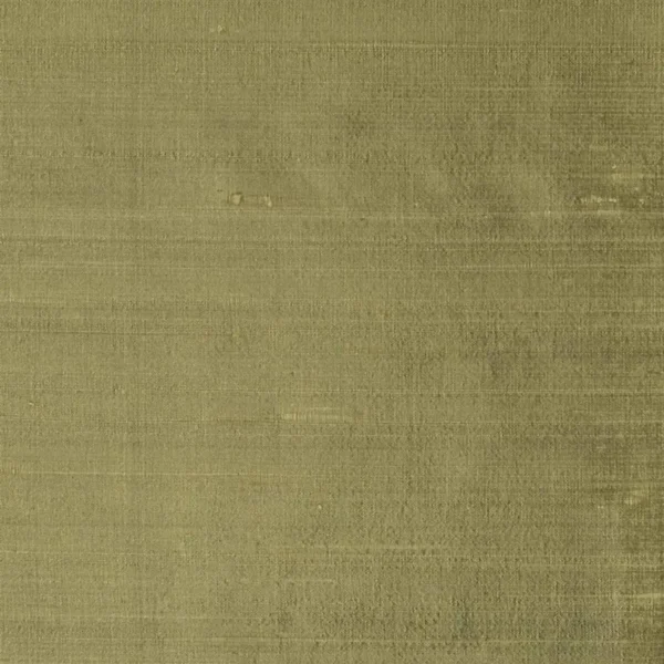 Chinon Fabric - Otter by brown plain silk-satin fabric from Designers Guild