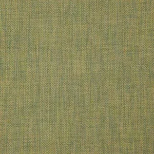 green plain woven fabric from Designers Guild