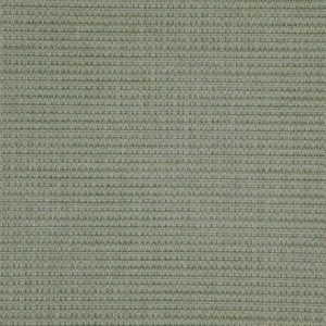 green plain woven fabric from Designers Guild