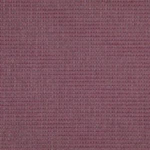 purple plain woven fabric from Designers Guild