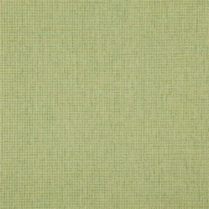 green plain woven fabric from Designers Guild