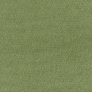 green plain cotton fabric from Designers Guild