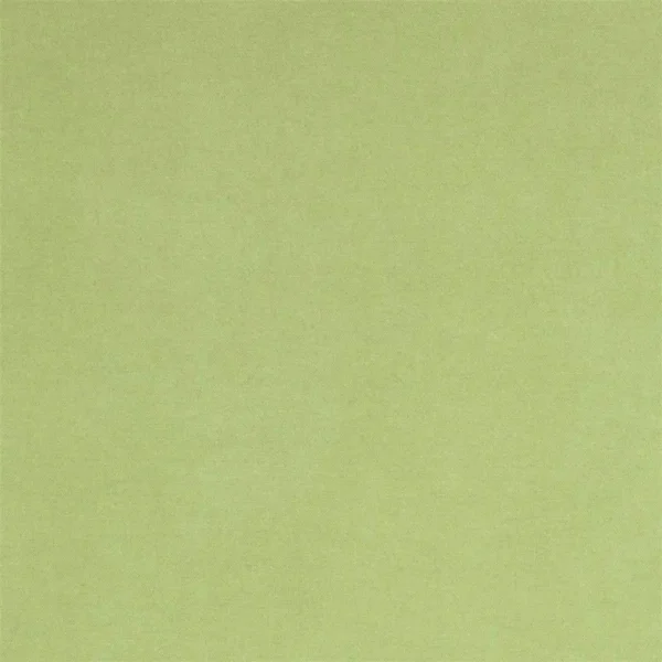 green plain cotton fabric from Designers Guild