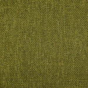 green plain woven fabric from Designers Guild