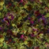 green botanical velvet-chenille fabric from Designers Guild