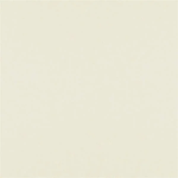 Chambery Fabric - Ivory by white plain voile-sheer fabric from Designers Guild