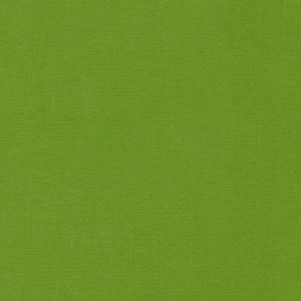 Brera Lino Fabric - Leaf by green plain linen fabric from Designers Guild