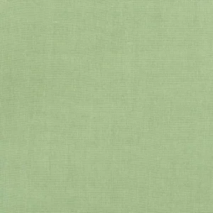 green plain linen fabric from Designers Guild
