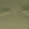 green plain silk-satin fabric from Designers Guild
