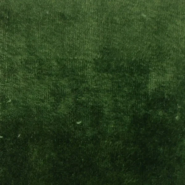 Pavia Fabric - Fir by green plain velvet-chenille fabric from Designers Guild
