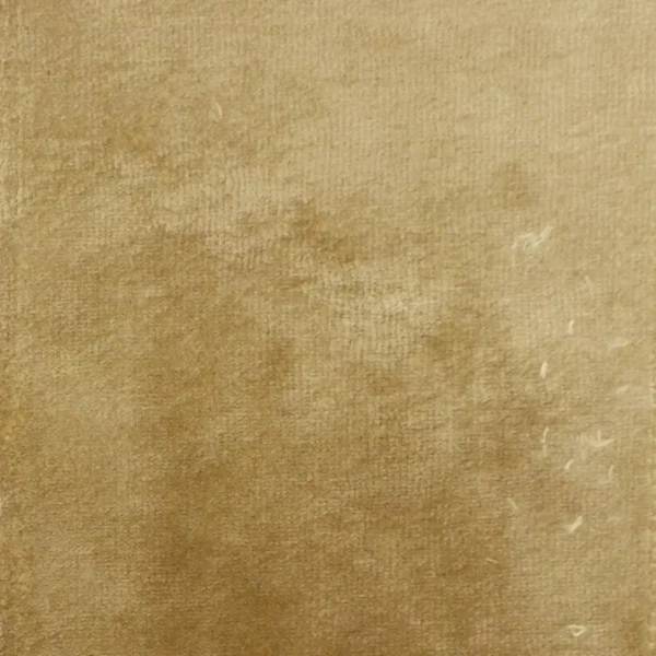 Pavia Fabric - Biscuit by brown plain velvet-chenille fabric from Designers Guild