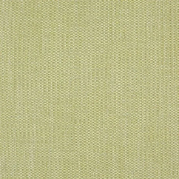 Skye Fabric - Pale Moss by green plain woven fabric from Designers Guild