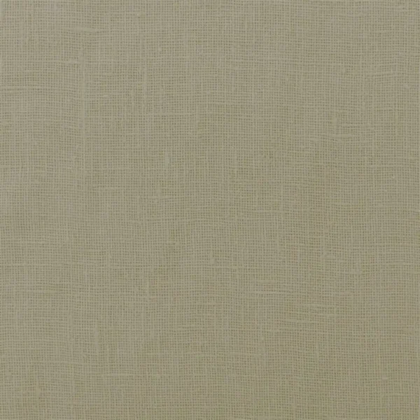 Carlow Fabric - Ecru by neutral plain voile-sheer fabric from Designers Guild
