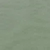 green plain voile-sheer fabric from Designers Guild