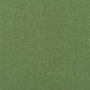 green plain voile-sheer fabric from Designers Guild