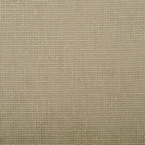 neutral plain voile-sheer fabric from Designers Guild