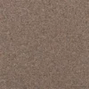 brown plain woven fabric from Designers Guild