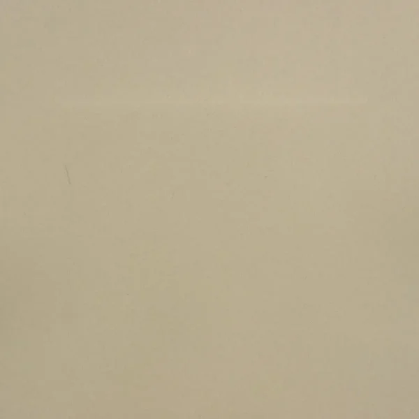 Farran Fabric - Putty by brown plain silk-satin fabric from Designers Guild