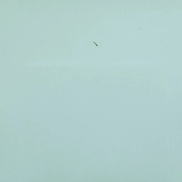 Farran Fabric - Aqua by blue plain silk-satin fabric from Designers Guild